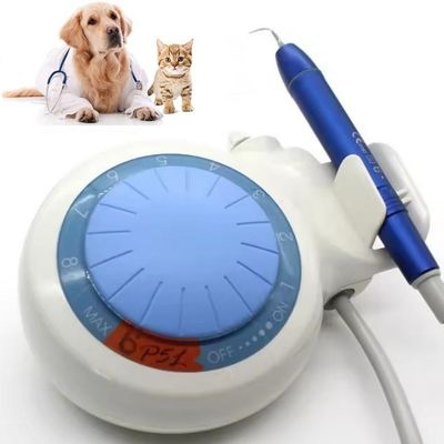 Harga bagus Peralatan Ultrasonik Scaler Gigi Gigi Led Scaler Ultrasonik Gigi Hewan Peliharaan on line