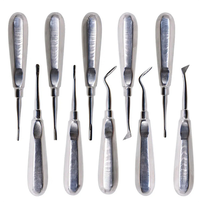 10pcs Dental Lift Kit Dokter gigi Alat bedah Baja tahan karat Dental Root Lift