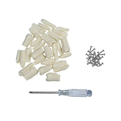 32pcs / Set Gigi Typodont Ganti Gigi Gigi Dental Pelajar Latihan Alat Kekerasan Rasi Gigi