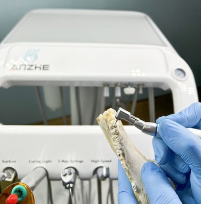 Peralatan Terapi Gigi Hewan Peliharaan Dental Factory Dengan Kompresor Udara 220V Standar UE Unit Gigi Portabel Dokter Hewan