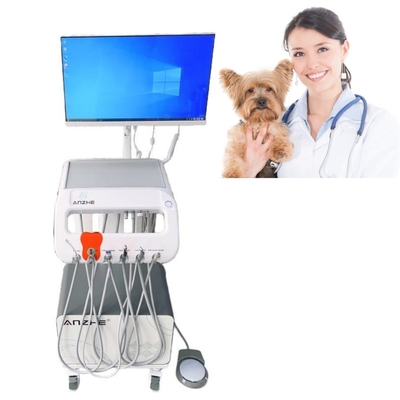 Meja Kerja Gigi Mobile untuk Peralatan Terapi Veteriner Perawatan Gigi Hewan Mobil Mobil Dental