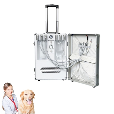 Peralatan gigi hewan peliharaan hewan peliharaan Perawatan gigi koper Perawatan gigi hewan hewan peliharaan mobil Unit perawatan gigi