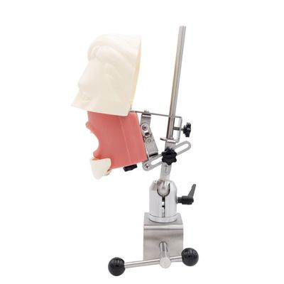 Dental Simulator Unit Pendidikan Dental Sekolah Simulasi Sistem Praktek Implan Gigi Phantom Kepala