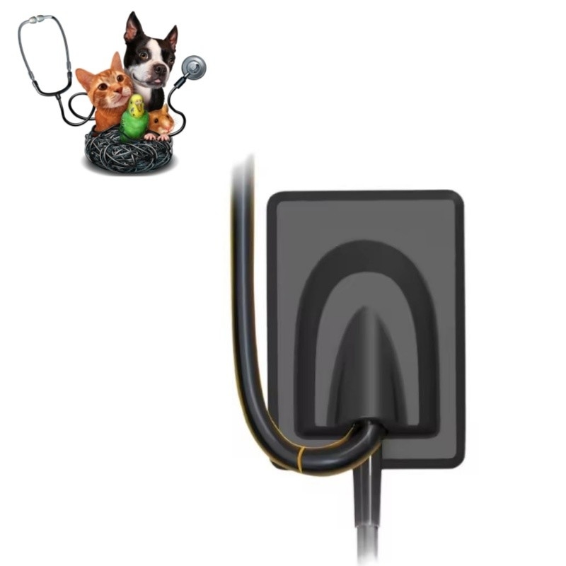 Peralatan Gigi Veteriner Sistem Pencitraan Sinar X Digital Gigi Hewan X Sensor Sinar RVG