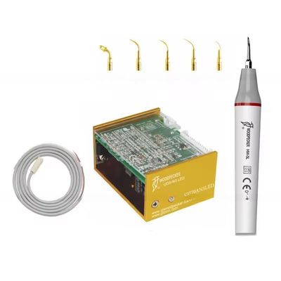Harga bagus Woodpecker N3 LED Teeth Clean Equipment Ultrasonic Dental Scaler With 6 Tips on line