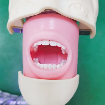 Harga bagus Siswa Gigi Profesional Model Pelatihan Simulator Ilmu Kedokteran Dental Model Kepala Phantom on line