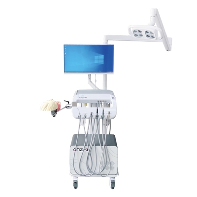 Solusi Pelatihan Mahasiswa Kedokteran Gigi Peralatan Sekolah Kedokteran Gigi Kepala Fantoma Simulator Dental untuk Pelatihan