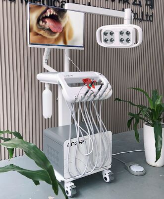 Harga bagus Mesin Perawatan Gigi Hewan Peliharaan All-in-One Unit Gigi Hewan Peliharaan Mobile dengan Lampu LED PC Mobil Veterinary Dental Cart untuk Perawatan Lidah Anjing on line