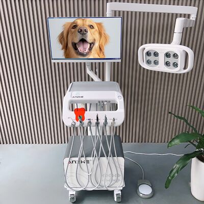 Harga bagus Mesin Perawatan Gigi Hewan Peliharaan All-in-One Unit Gigi Hewan Peliharaan Mobile dengan Lampu LED PC Mobil Veterinary Dental Cart untuk Perawatan Lidah Anjing on line