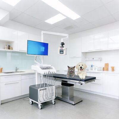 Harga bagus Unit Terapi Gigi Portable dengan Dibangun dalam Sinar X dan PC Mobil Mobil Dental Kereta dengan Kompresor Udara Sistem Penyedutan Unit Pengiriman Gigi untuk Klinik dan Outreach Penggunaan on line