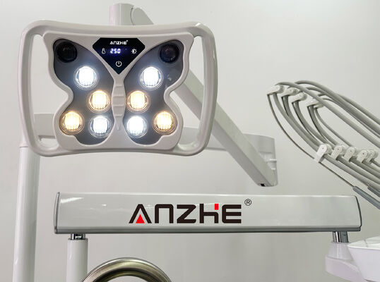 Harga bagus Unit Perawatan Gigi Hewan Seri VET-PRO dengan Kompresor Udara Senyap 32L dan Suite Instrumen 5-Holder dalam Baja Tahan Karat 304 on line