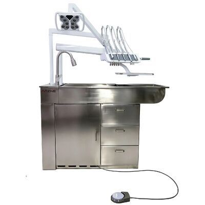 Harga bagus Meja Perawatan Gigi Veteriner Stainless Steel dengan Lampu Bedah LED dan Daya 550W untuk Klinik Hewan on line