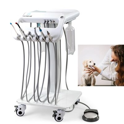 Harga bagus Mesin Gigi Hewan Portabel dengan Daya 550W, Tangki Udara Stainless 10L, dan Tingkat Kebisingan 38DB untuk Terapi Gigi Seluler on line