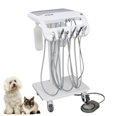 Harga bagus Troli Gigi Portabel Veteriner Langsung Pabrik untuk Anjing & Kucing | Gerobak Perawatan Gigi Hewan Peliharaan Bergerak dengan Scaler Ultrasonik, Sistem Penghisap & Lampu Pengawet LED | Peralatan Gigi Dokter Hewan OEM/ODM on line