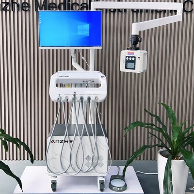 Harga bagus Unit Gigi Hewan Portabel dengan Kamera 4K, Sinar-X, dan Kompresor Bebas Minyak untuk Perawatan Gigi Hewan Peliharaan on line