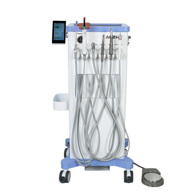 Portable Veterinary Dental Unit with 550W Oil-Free Air Compressor 10L Stainless Tank Low Noise Dental Workstation