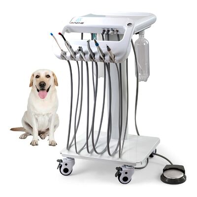 Harga bagus Basic Portable Veterinary Dental Cart with 5 Tubes. Mobil Pet Dental Workstation for Veterinary Clinics, Upgrade yang Dapat Dikustomisasi on line