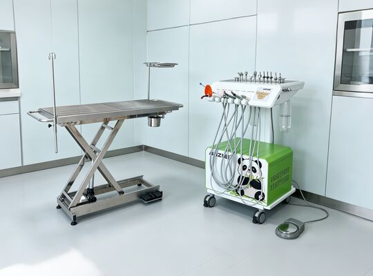 Harga bagus Unit Gigi Hewan Portabel Peralatan Gigi Hewan Peliharaan Profesional Gaya Panda untuk Klinik Hewan Kecil on line