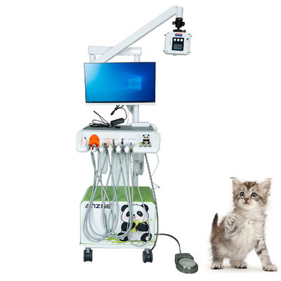 Harga bagus Original Factory Veterinary Digital Intraoral Sensor Plug-and-play lengkap dilengkapi dengan resolusi tinggi sinar-X untuk klinik hewan peliharaan on line