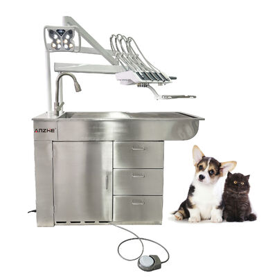 Harga bagus Pabrik langsung Unit Gigi Veteriner dengan lampu pemutih LED 32L Oil Free Compressor Stainless Steel All in One Veterinary Dental Workstation on line