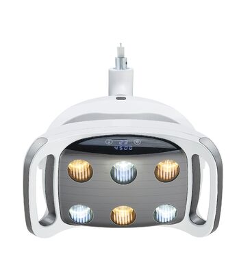 Harga bagus 6 LED Lampu Bedah Gigi Kontrol Layar Sentuh Lampu Operasi Mulut Tanpa Bayangan Kecerahan Dapat Disesuaikan Lampu LED Kursi Gigi on line