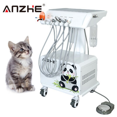 Harga bagus Semua dalam Satu Unit Gigi Veteriner Portable dengan Kompresor Udara Scaler Ultrasonik LED Penyembuhan Cahaya Sistem Penyedot Mobil Peralatan Gigi Hewan Peliharaan untuk Rumah Sakit Hewan on line