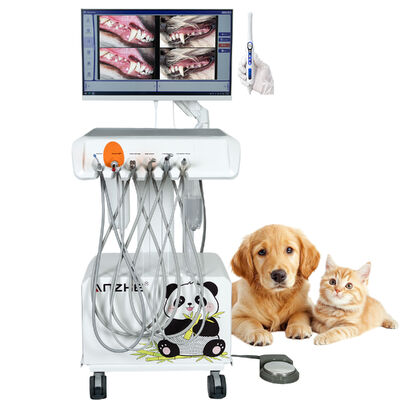 Unit Gigi Veteriner Portable dengan Kamera Oral HD dan Sistem Gigi Terintegrasi Komputer All in One untuk Klinik Hewan