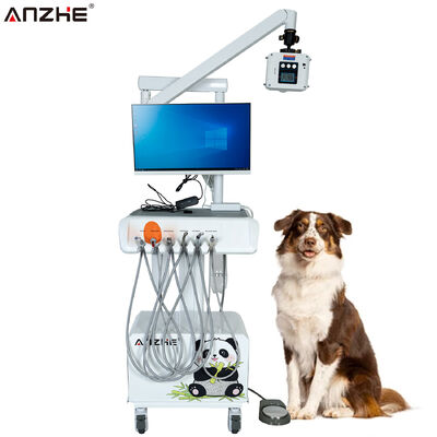 Harga bagus Unit Gigi Veteriner Portable dengan Mesin Sinar X Sensor Digital HD Kamera Intraoral Laptop Layar Sentuh dan Kompresor Udara untuk Klinik Gigi Hewan on line