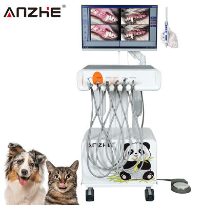 Harga bagus Pabrik Langsung Portable Unit Dental Veterinary dengan HD Oral Kamera dan 23.8 Inch Touchscreen All In One Komputer Dibangun di Kompresor Udara Scaler Penyembuhan Cahaya untuk Klinik Gigi Hewan on line