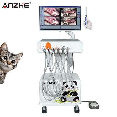 Harga bagus Unit Gigi Veteriner Portable dengan Kamera HD Oral dan All In One Computer Dibangun di Kompresor Udara Stasiun Kerja Gigi Veteriner untuk Klinik Gigi Hewan on line