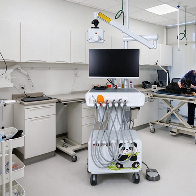 Harga bagus 550W Veterinary Dental Workstation dengan Tekanan 0,8Mpa dan Kebisingan 58DB untuk Klinik Hewan on line