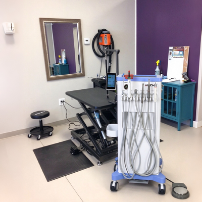 Harga bagus 550W Portable Veterinary Dental Unit dengan Tekanan 0,8Mpa dan 38DB Noise Veterinary Dental Cart on line