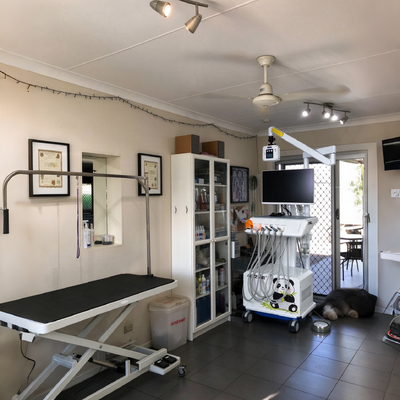 Harga bagus 550W Veterinary Dental Workstation dengan Tekanan 0,8Mpa dan Kebisingan 58DB untuk Klinik Gigi Hewan on line
